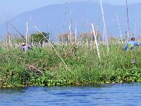 4 - Lac Inle - Pindaya - Kalaw (50)
